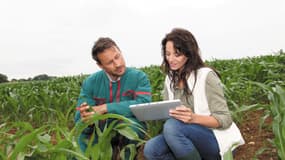 Depuis mars 2016, BASF teste Maglis, une plateforme en ligne pour accompagner les agriculteurs dans la gestion de leurs cultures et de la commercialisation de leurs productions, en fonction de données agronomiques et météorologiques.