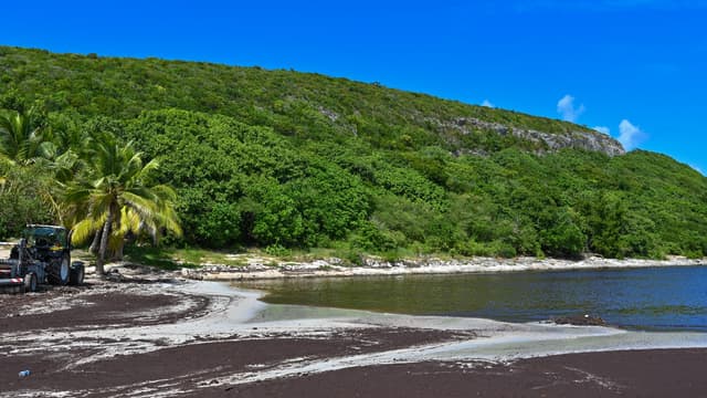 En Guadeloupe, où l'on produit environ 370.000 tonnes de déchets par an (pour moins de 400 000 habitants), le démarrage de la consigne des bouteilles se fera en janvier 2021