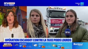 Alsace: opération escargot contre la taxe poids lourds