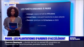 Paris: les plantations d'arbres s'accélèrent