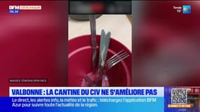 Nice: les parents d'élèves dénoncent l'état du CIV de Valbonne