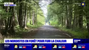 Les Nordistes recherchent un peu de fraîcheur dans la forêt