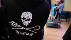 Un membre de l'ONG Sea Shepherd, le 26 Avril 2025.