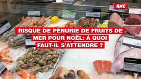 Risque de pénuries de fruits de mer pour Noël: à quoi faut-il s’attendre? 