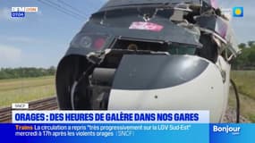 Rhône: les galères dans les gares à cause des orages