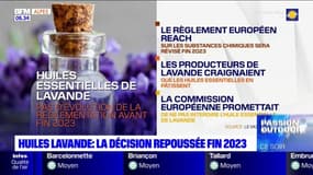 Alpes-du-Sud: la révision du règlement sur les huiles de lavande repoussée fin 2023