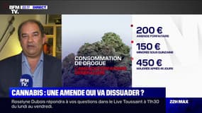 Yann Bisiou: "Je ne pense pas que l'amende de 200 euros va régler le problème de l'usage de cannabis en France" - 01/09