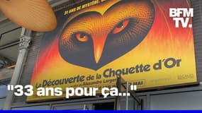 "33 ans pour ça...": De nombreux joueurs "déçus" par la solution de l'énigme de la Chouette d'or 