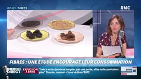 "Dupin Quotidien": une étude encourage la consommation de fibres. Manger suffisamment de fibres alimentaires diminue la mortalité de 30%, toutes causes confondues.