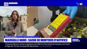 Marseille: plusieurs centaines de mortiers d'artifice saisie