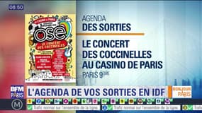 Sortir à Paris : Le concert des coccinelles au Casino de Paris