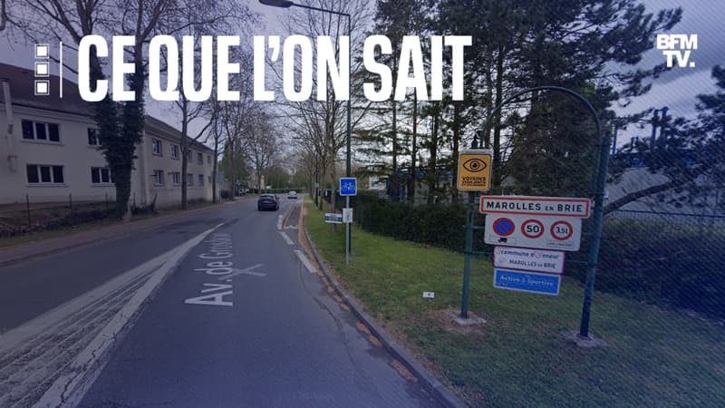 Deux nouveaux-nés ont été retrouvés dans un congélateur à Marolles-en-Brie dimanche.