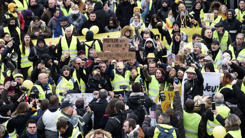 Manifestation de "gilets jaunes", le 23 novembre 2019