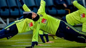 Zlatan Ibrahimovic
