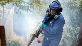 De l'insecticide vaporisé pour lutter contre le chikungunya. Le virus a été détecté en Polynésie française.