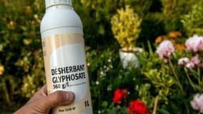 "Ma fille de 7 ans a un cancer, je ne peux pas m’empêcher de penser que le glyphosate est responsable"