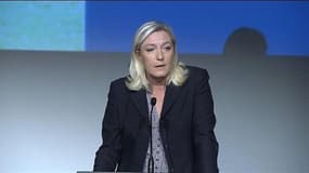 Régionales: Marine Le Pen candidate en Nord-Pas-de-Calais-Picardie