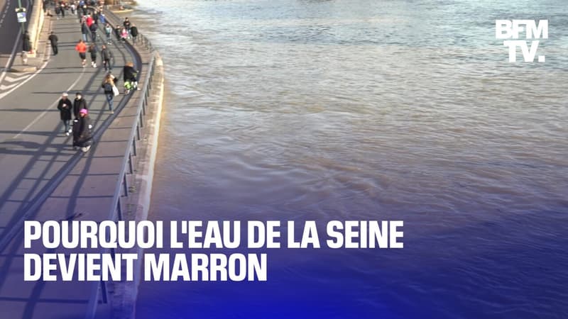 Pourquoi l'eau de la Seine vire au marron