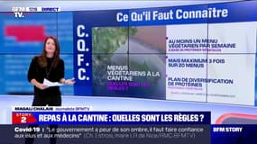 Que dit la loi sur les repas à la cantine ?