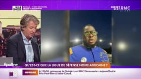 Nicolas Poincaré : Qu'est-ce que la Ligue de défense noire africaine ? - 14/09