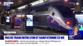 Aucun train ne circulera entre Lyon et Saint-Etienne les 18 et 19 novembre