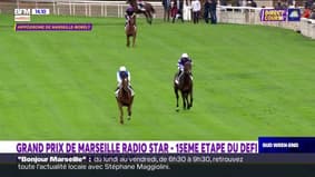 Courses hippiques: revivez le Grand Prix de Marseille Radio Star R2C6 à Marseille-Borely