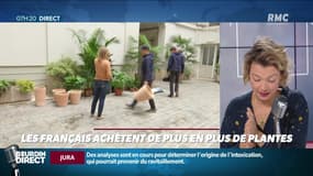 Dupin Quotidien : Les Français achètent de plus en plus de plantes - 04/10