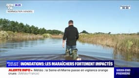 Inondations: à Noirmoutier, ce maraîcher découvre les dégâts après les intempéries