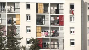 Côte d'Azur Habitat recense près de 2.000 logements "sous-occupés" dans son parc locatif.