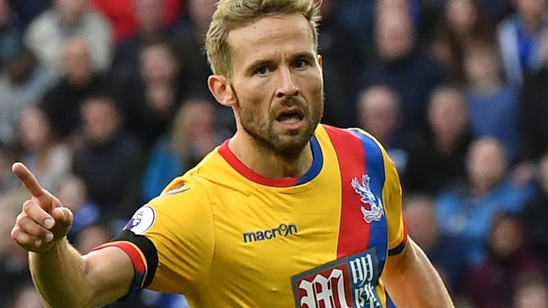 Yohan Cabaye