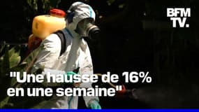Chikungunya: l'épidémie progresse à La Réunion avec 4.156 nouveaux cas en une semaine 