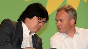 Rugy et Placé déplorent la stratégie d'alliance d'Europe Ecologie-Les Verts