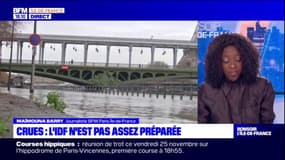 Île-de-France: la région pas assez préparée aux risques de crues