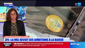 Métropole de Lille: des mesures moins strictes pour la ZFE, les écologistes réagissent