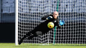 Paul Bernardoni - Angers 