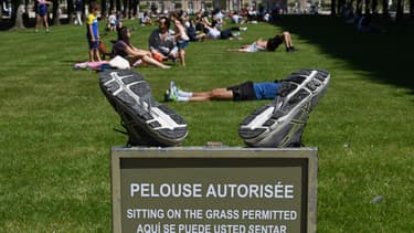 Le jardin du Luxembourg ce samedi 30 mai 2020