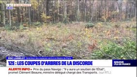 Île-de-France: le déboisement du bois de Vincennes ne convainc pas