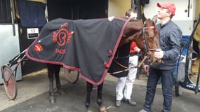 Bold Eagle et son entraîneur Sébastien Guarato