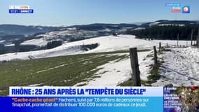 Rhône: 25 ans après la "tempête du siècle" 