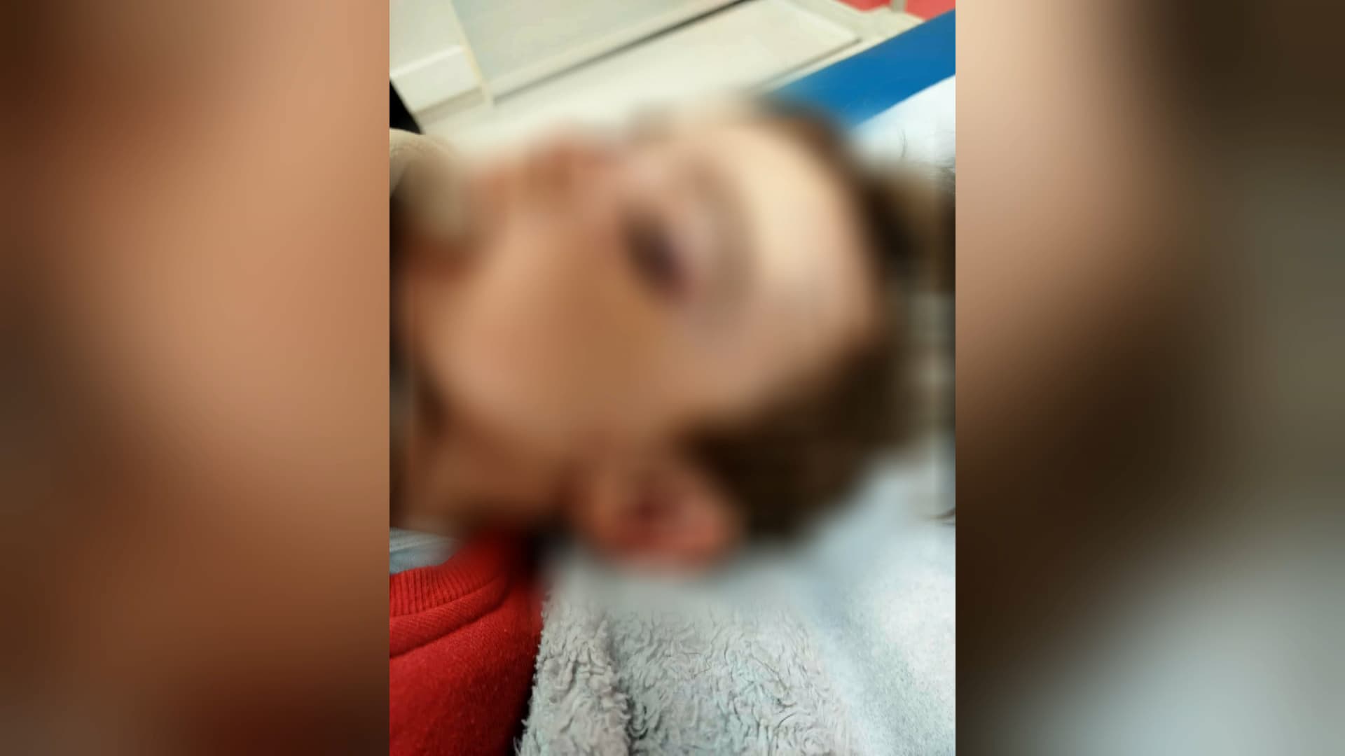 "IL A BOUFFÉ MON FILS": UN ENFANT DE DEUX ANS ATTAQUÉ PAR UN RAT DANS UNE RÉSIDENCE INFESTÉE PAR LES RONGEURS AU HAVRE