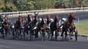 Le Critérium des 3 ans a lieu dimanche 19 décembre à Vincennes