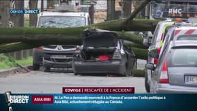 Un automobiliste tué par une chute d'arbre à Paris: "On a entendu un gros craquement" confie Edwige, rescapée de l'accident avec son fils