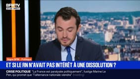 ÉDITO - Et si le RN n'avait pas intérêt à une dissolution? 
