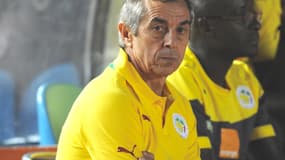 Alain Giresse, le sélectionneur du Sénégal