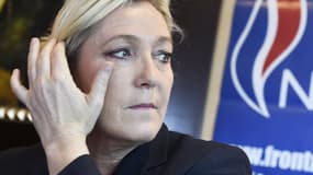 Entendu ce mercredi par les juges dans l'enquête sur son financement, le Front national, dirigé par Marine Le Pen, pourrait être mis en examen à l'issue de cette audition.