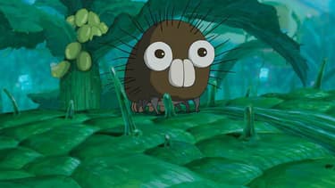 Boro la chenille de Hayao Miyazaki