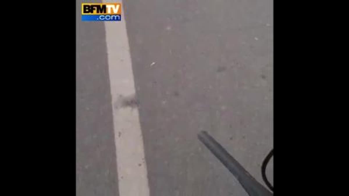 placeholder video