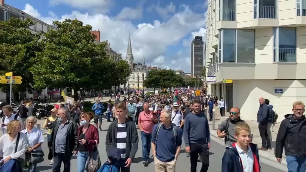 Le cortège à Nantes. Le cortège à Nantes.