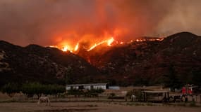 L'"Apple Fire" se serait déclaré le 31 juillet aux alentours de 16 heures (heure locale)