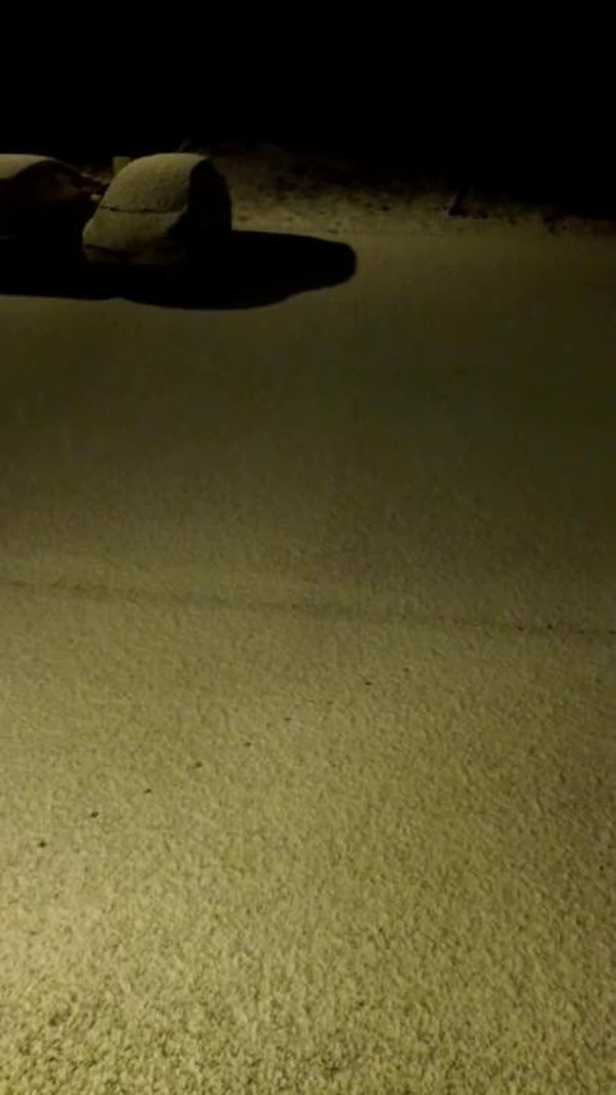 placeholder video